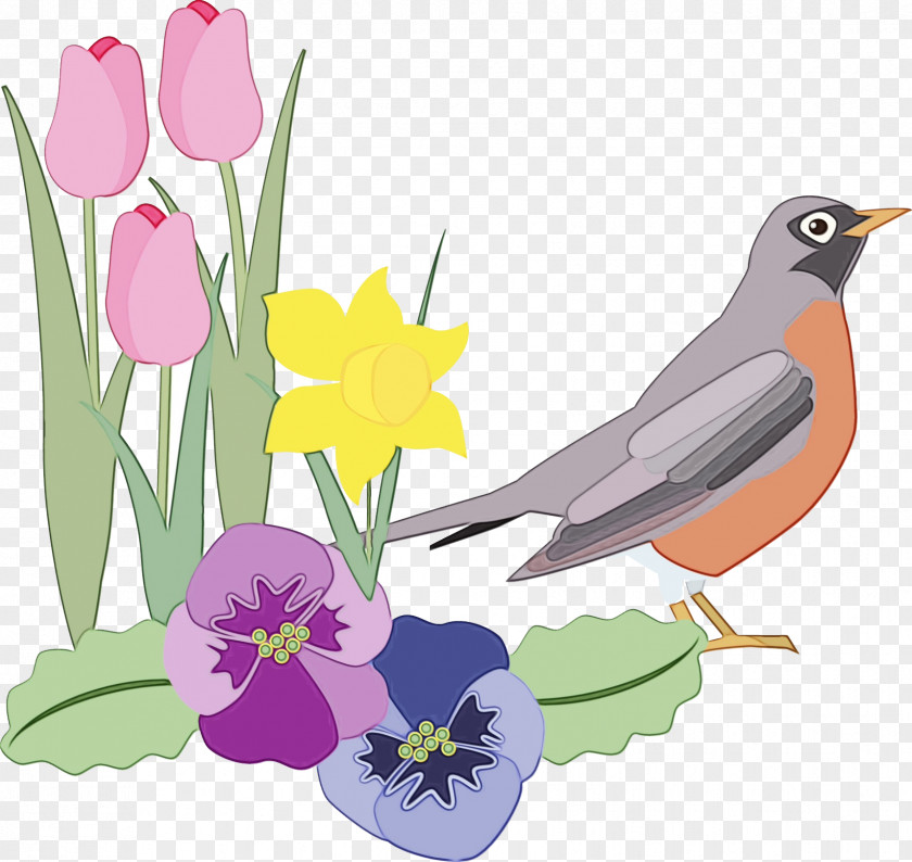 Sparrow Tulip Watercolor Flower Background PNG
