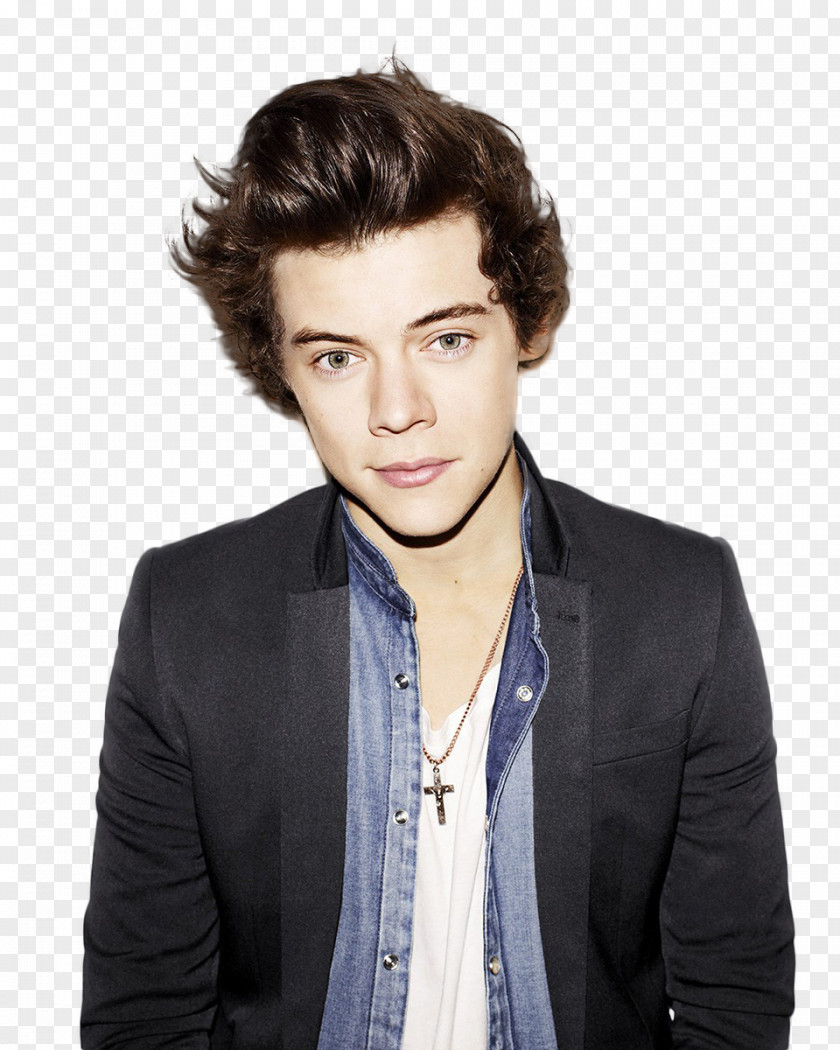 Styles Harry Styles: Live On Tour One Direction Desktop Wallpaper PNG