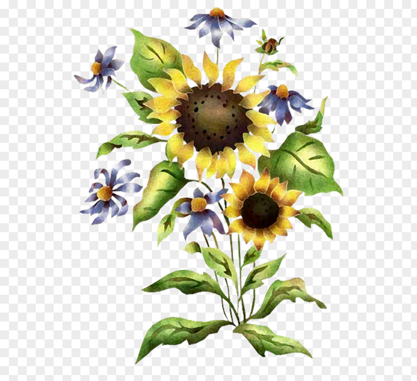 Sunflower Stencil Common Painting PNG