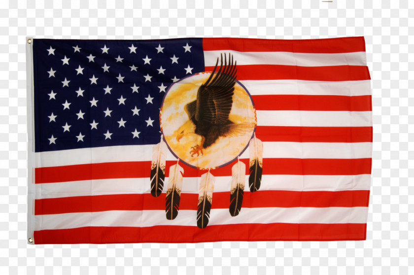 Usa Eagle Flag Of The United States Texas Flagpole Annin & Co. PNG