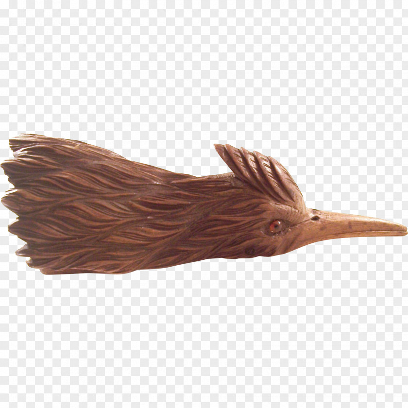 Wood Beak Feather /m/083vt Brown PNG
