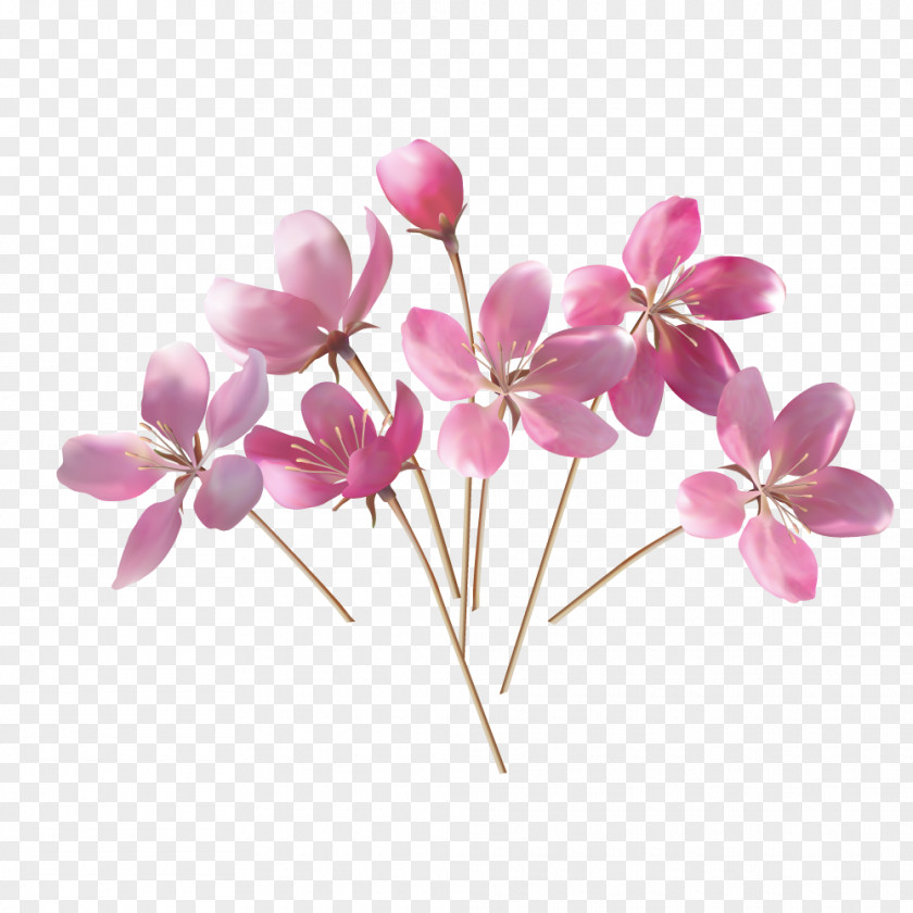 Apricot Wedding Flowers Fiori E Pensieri LAquila PNG