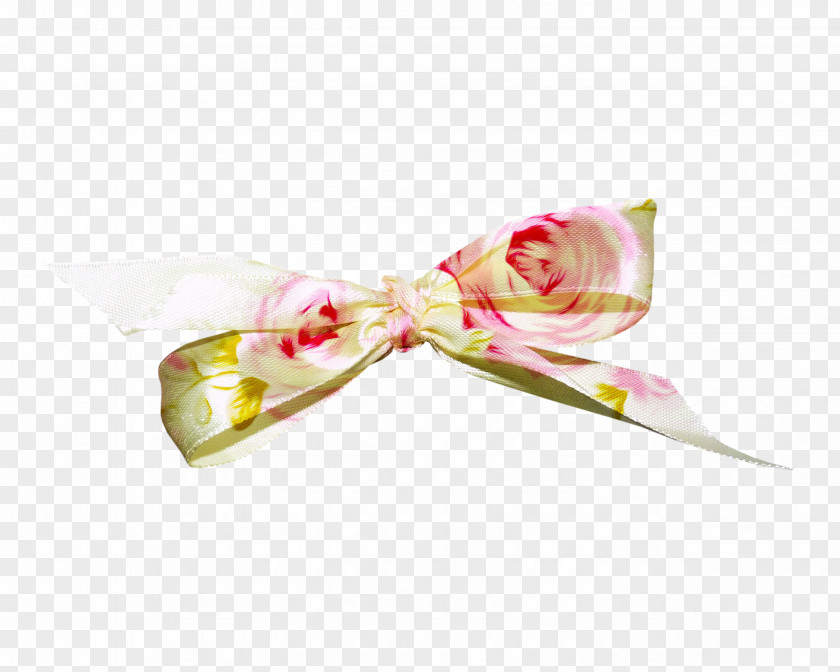 Bow Digital Image PNG