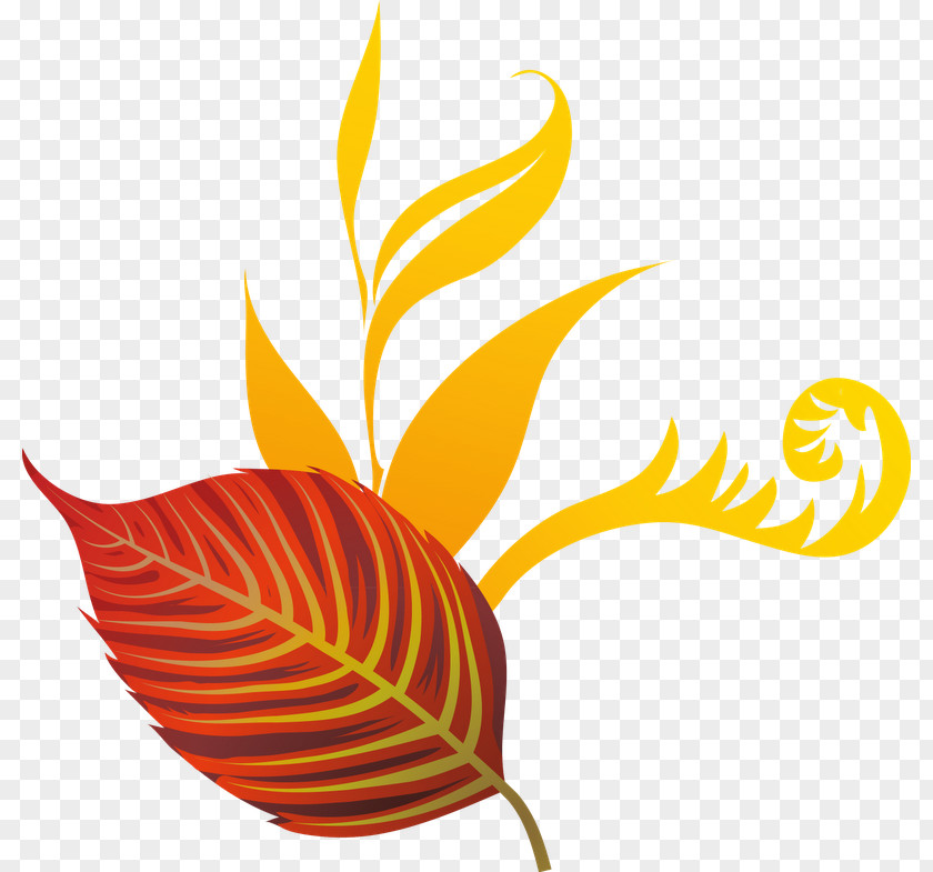 Clip Art Leaf Autumn Image Photography PNG