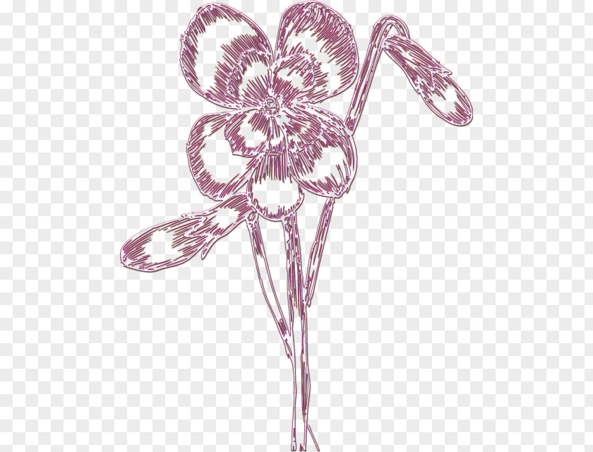 Design Cut Flowers Drawing Visual Arts Floral PNG