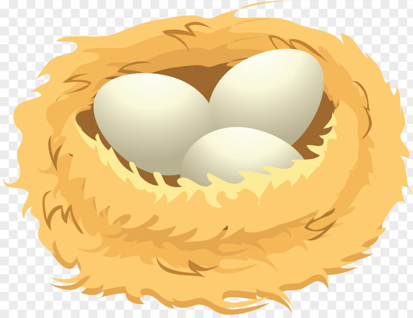 Egg Bird Nest Clip Art PNG