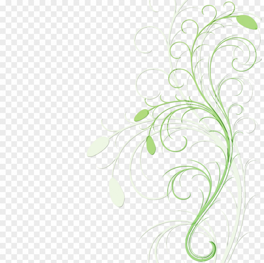 Flower Ornament Green Leaf Background PNG