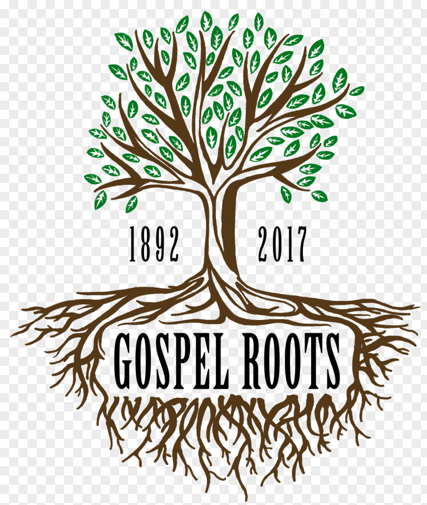 Gospel Woody Plant Tree Root Stem PNG