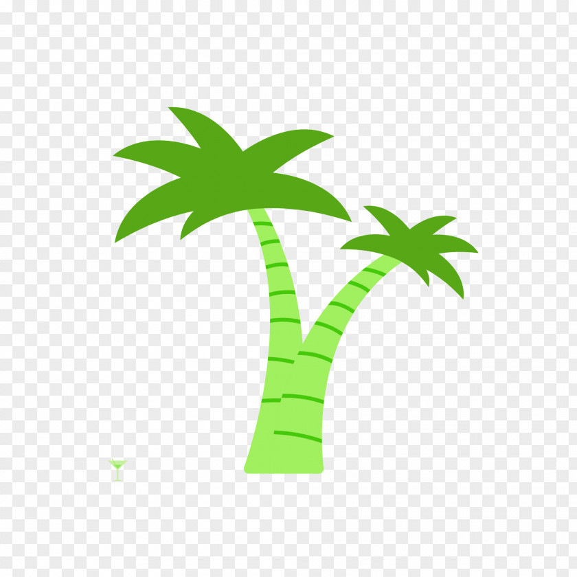 Palm Trees PNG