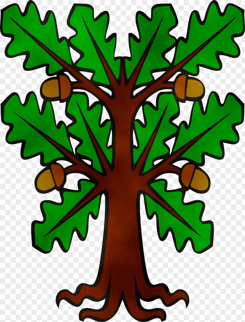 Plant Stem Oak Plane PNG