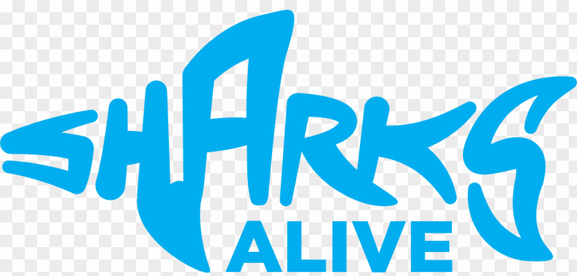 Shark Fin Logo Brand Education Font PNG