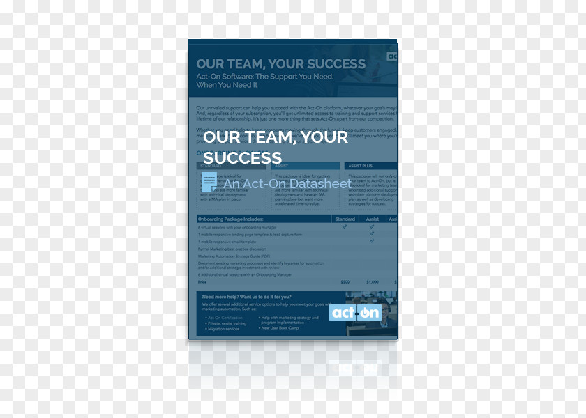 Team Success Brand Online Advertising Font PNG