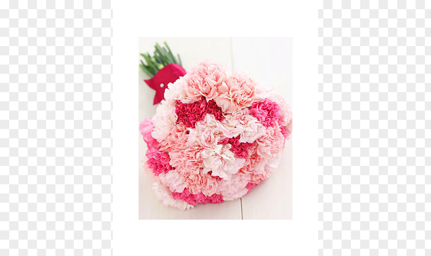 Wedding Carnation Flower Bouquet Bride PNG