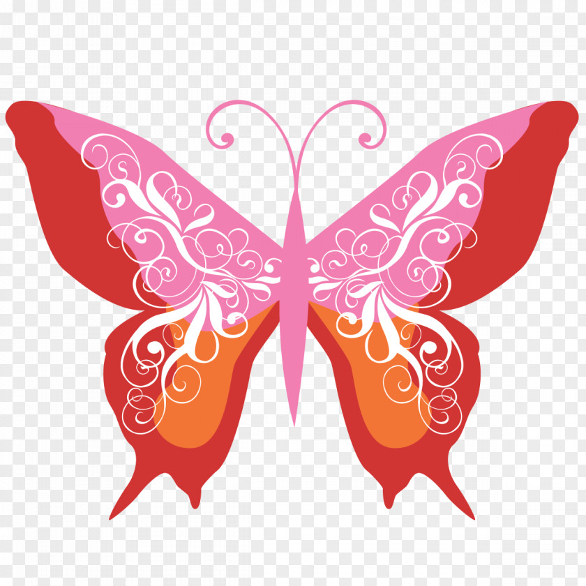 Butterfly Insect Pollinator Moth PNG