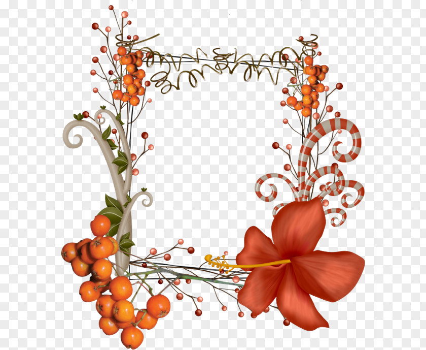 Flower PNG