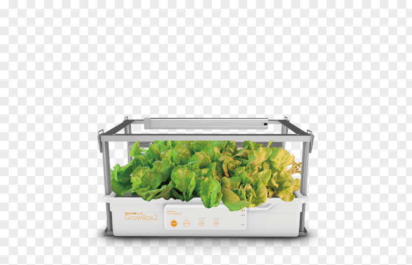Indoor Grow Box Kickstarter Hydroponic Gardening Hydroponics Flowerpot PNG