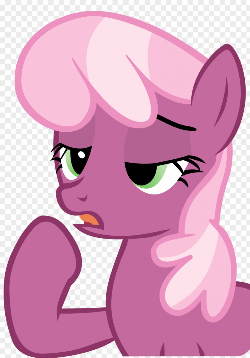 Kitten Whiskers Pony Horse Cat PNG