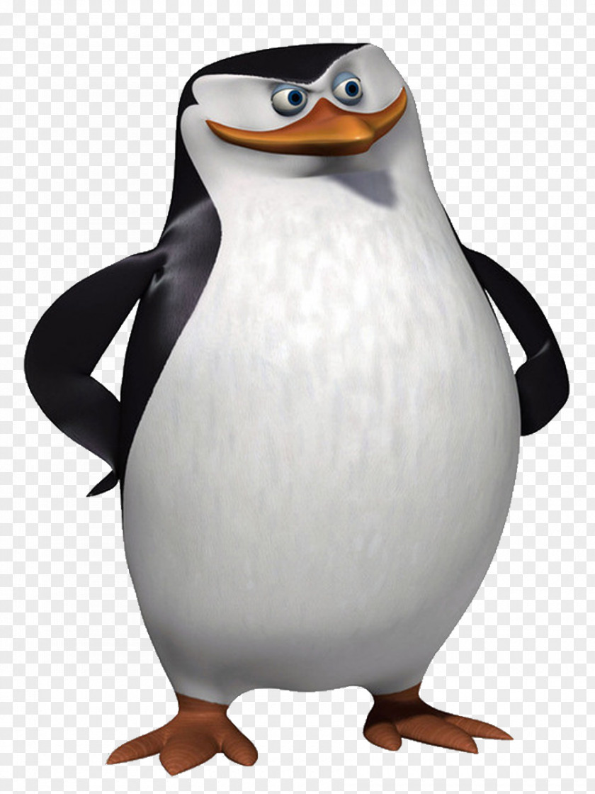 Madagascar Penguins The Of Madagascar: Dr. Blowhole Returns – Again! Skipper Film PNG