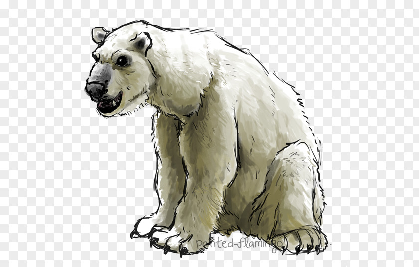 Polar Bear Carnivora Mammal Organism PNG