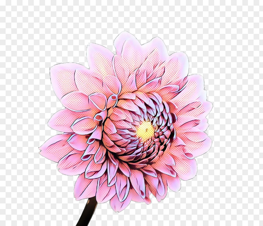 Artificial Flower Blossom Flowers Background PNG