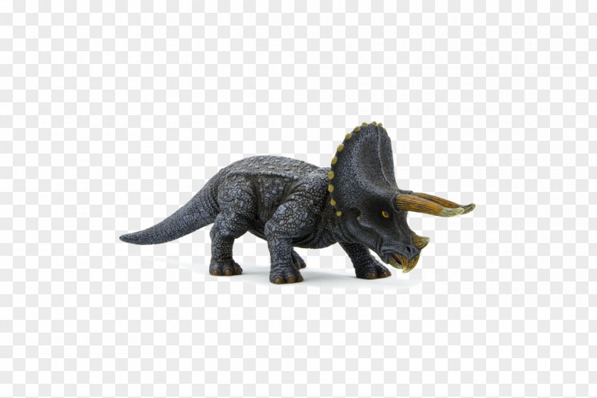 Dinosaur Triceratops Tyrannosaurus Brachiosaurus Amazon.com PNG
