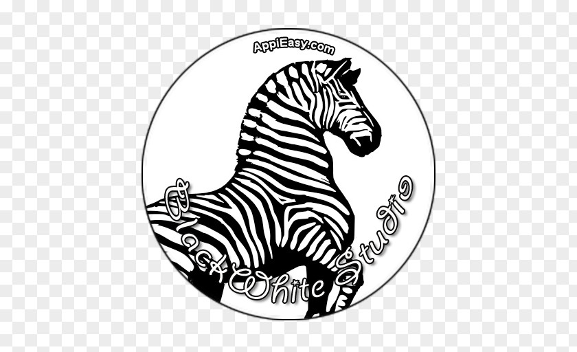 Horse Zebra Coloring Book ABC Clip Art PNG
