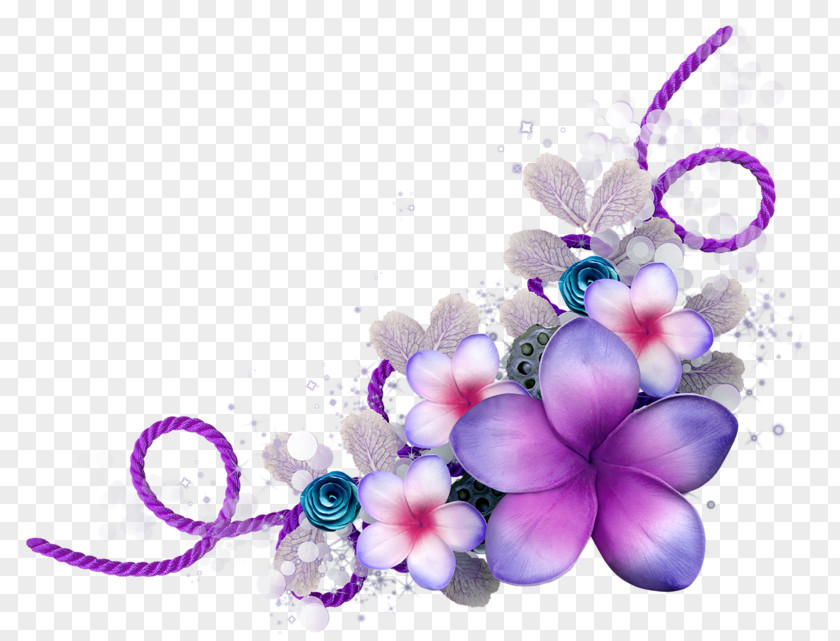 Lilac Flower Color Clip Art PNG