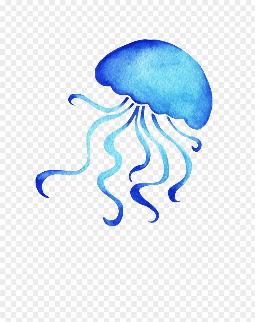 Medusa Jellyfish Image Watercolor Painting Cartoon PNG