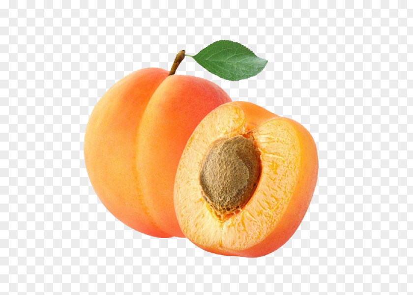 Apricot JK FRUIT Sp. Z O.o. Peach PNG