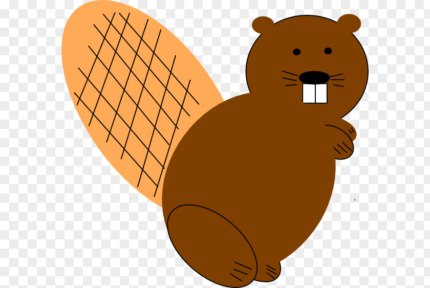 Beaver North American Clip Art PNG