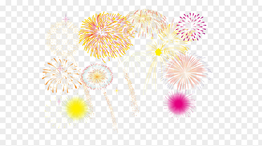Color Fireworks 21-gun Salute PNG