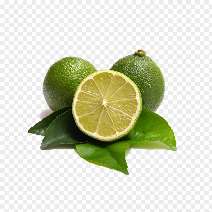 Lime Tea Lemon-lime Drink Chicha Orange PNG