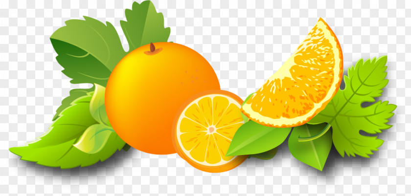Orange Fruit Material Juice Lemon Auglis PNG
