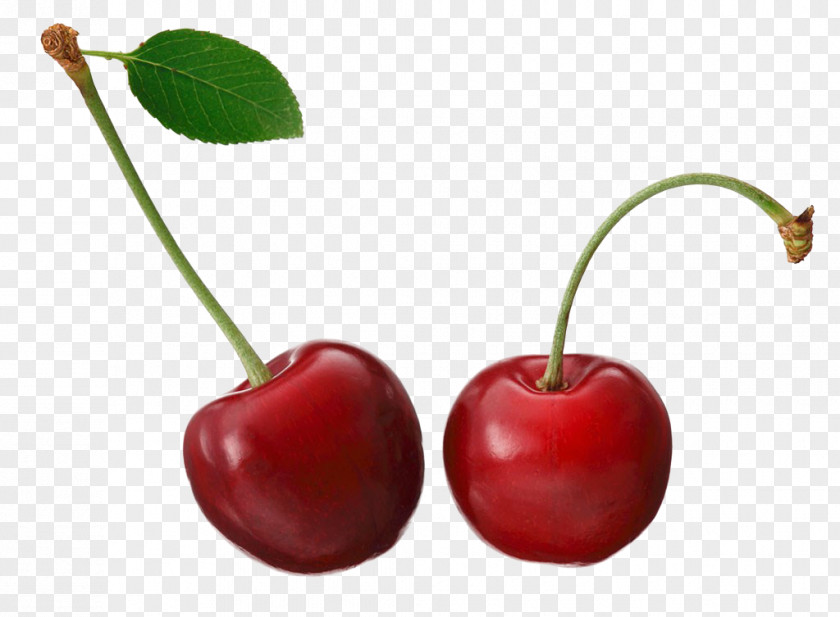 Cherry Barbados Fruit PNG