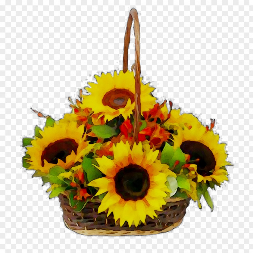 Common Sunflower Floral Design Transvaal Daisy Cut Flowers Basket PNG