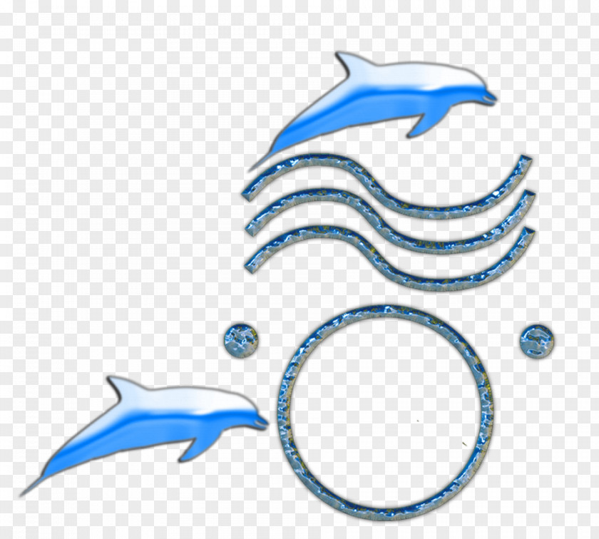 Dolphin Marine Biology Body Jewellery Clip Art PNG