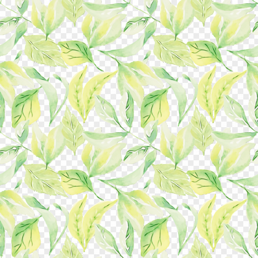 Leaf Petal Green Tree Textile PNG