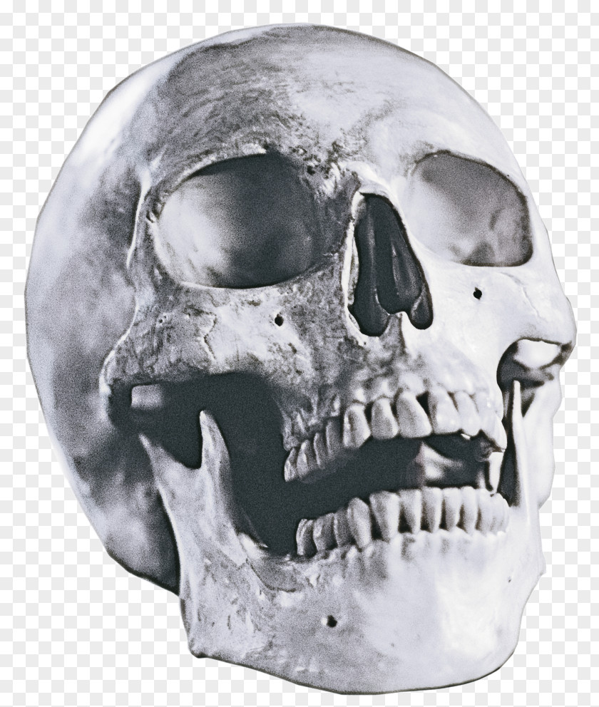 Rock Helmet Face Skull Bone Head Jaw PNG