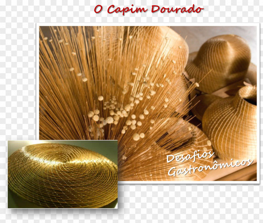Capim Jalapão State Park Tocantins Syngonanthus Nitens Earring Handicraft PNG