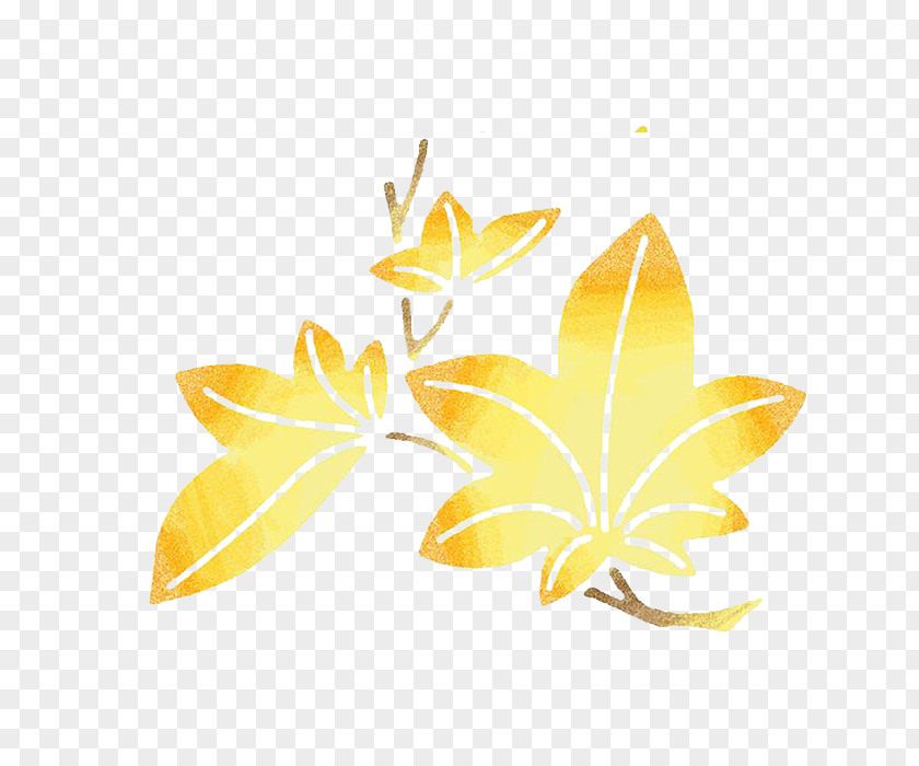 Gold Maple Leaf Euclidean Vector PNG