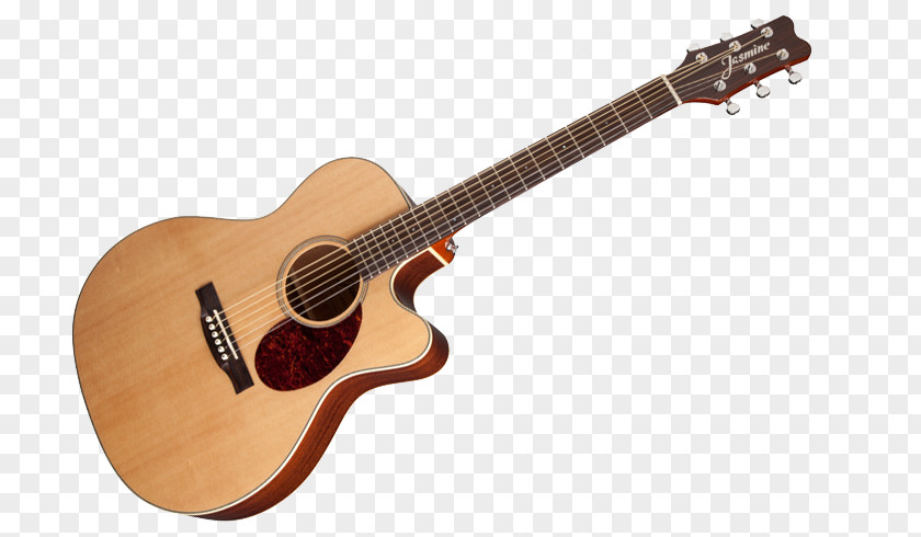 Guitar Amplifier Taylor Guitars Acoustic Jasmine S34C PNG