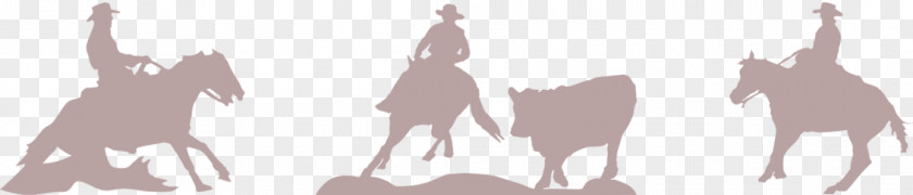 Horse Western American Riding Academy Equestrian Quarter Reining PNG