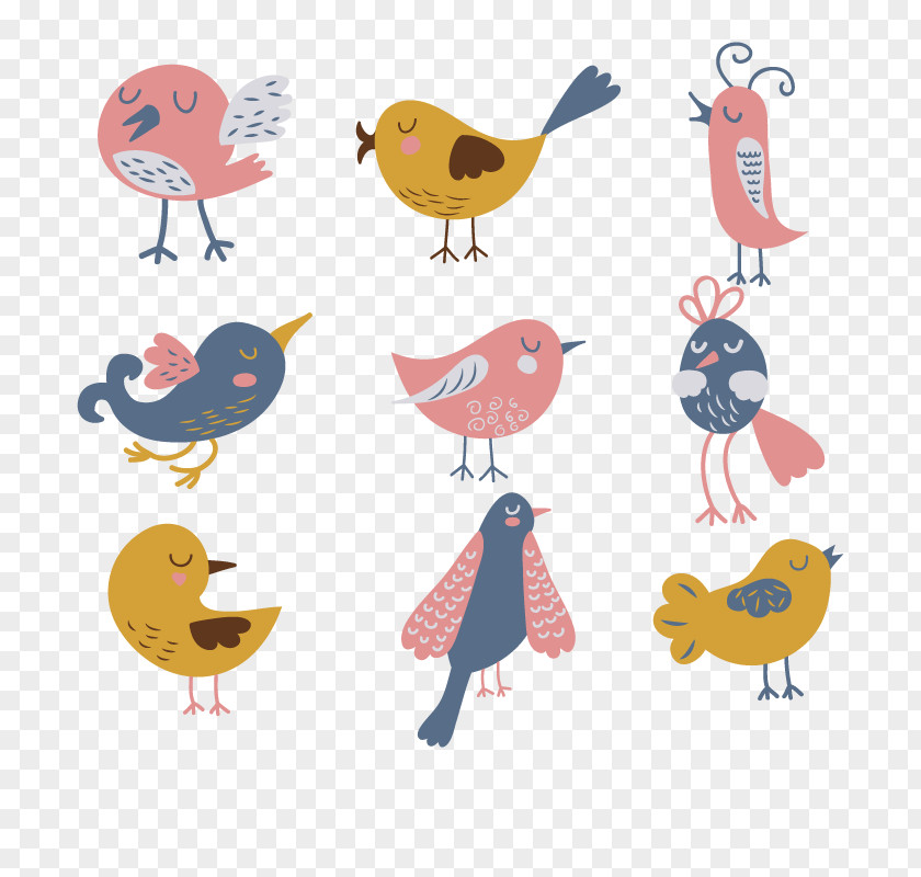 Vector Birds Bird Drawing Euclidean Illustration PNG