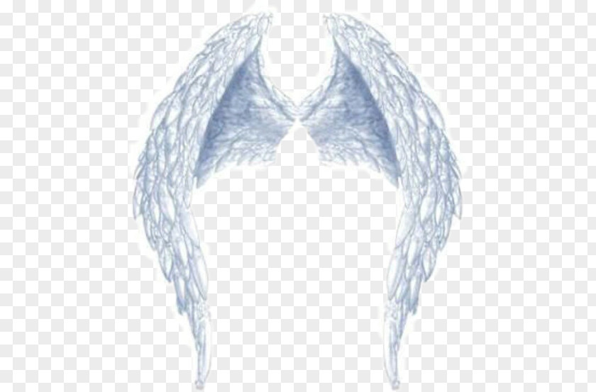 Angel Wings And Halo Image PicsArt Photo Studio Wing GIF PNG