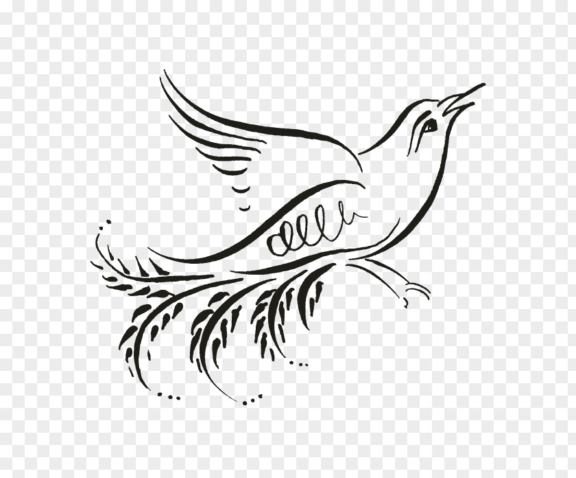 Arabic Motif Beak Drawing Line Art Feather Clip PNG
