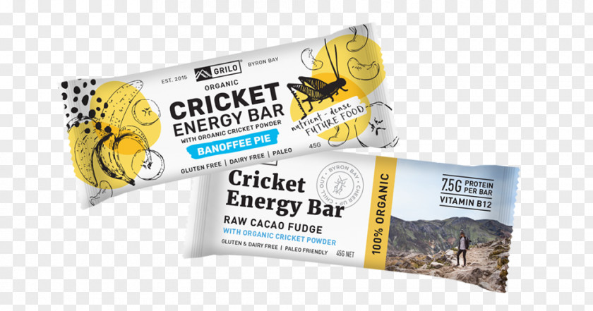 Cricket Insect Flour Protein Energy Bar PNG