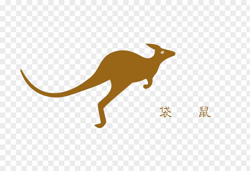 Jumping Kangaroo Macropodidae Australia Tonghe Residential District PNG
