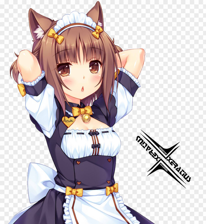 Link Button Nekopara Desktop Wallpaper Catgirl DeviantArt PNG