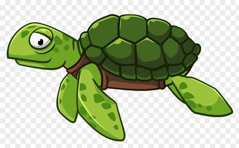 Sea Turtle Green Vector Graphics Clip Art PNG