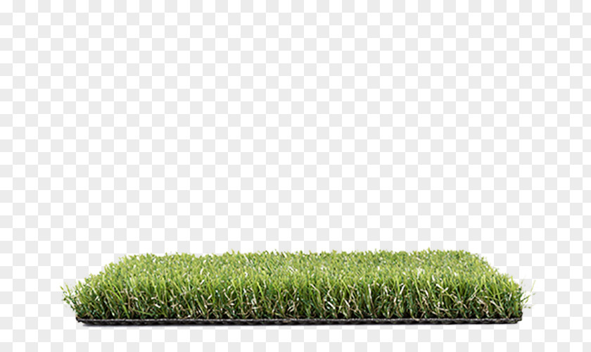 Allegro Lawn Artificial Turf Cupressus Proposal PNG